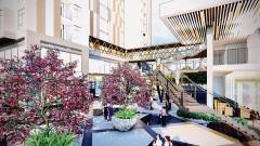 Phối cảnh cầu nối giữa 2 tòa (3)